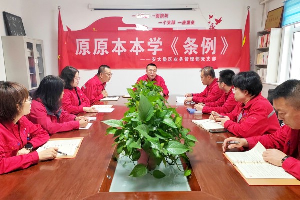 平朔集團(tuán)基層黨組織利用黨員大會(huì)原原本本、逐章逐條學(xué)習(xí)《中國(guó)共產(chǎn)黨紀(jì)律處分條例》.jpg